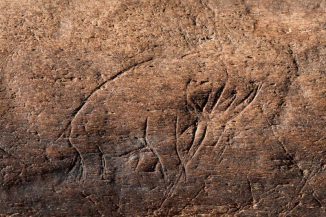 13.000 Jahre alte Schnitzerei auf dem fossilen Tierknochen (Chip Clark)