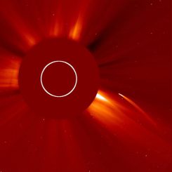 Der "Sungrazer"vom 5./6. Juli 2011, aufgenommen vom Sonnenobservatorium SOHO (SOHO (ESA / NASA))