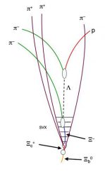 Schematische Darstellung der bei der Kollision und dem Zerfall entstandenen Teilchen (CDF Collaboration)