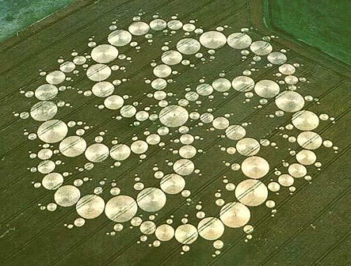 Ein 237 Meter durchmessender Kornkreis, fotografiert 2001 in Milk Hill (England) (IOP)