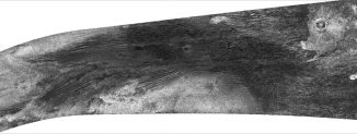 Auf dem Radarbild von Titans Oberfläche sind Dünen, ein Krater und ein Teil der Oberflächenformation Xanadu sichtbar. (NASA / JPL)