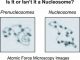 Vergleich zwischen Prä-Nukleosom und Nukleosom (James Kadonaga, UC San Diego)