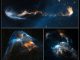 Die Herbig-Haro-Objekte HH 47 (oben), HH 2 (unten rechts) und HH 34 (unten links). (NASA, ESA, and P. Hartigan (Rice University))