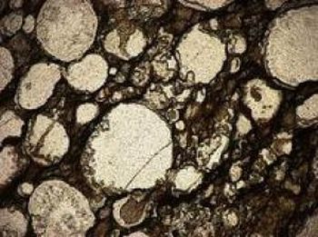 3,46 Milliarden Jahre alter Bimsstein aus dem Apex Chert in Australien (Oxford University) 3,46 Milliarden Jahre alter Bimsstein aus dem Apex Chert in Australien (Oxford University)