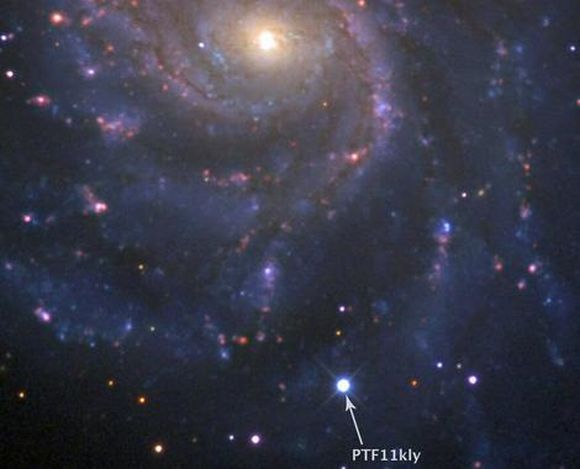 Die Supernova in der Feuerrad-Galaxie (PTF Collaboration)