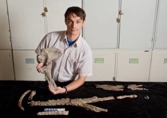 Alex Hasting präsentiert einen Beckenknochen von Acherontisuchus guajiraensis. (Photo by Kristen Grace/ Florida Museum of Natural History)