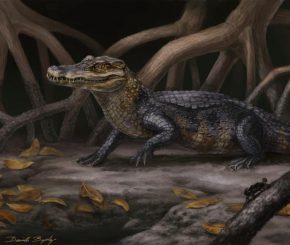 Rekonstruktion der neuen Gattung und Spezies Culebrasuchus mesoamericanus in seiner urzeitlichen Umgebung des frühen Miozäns in Panama. (Original artwork by Danielle Byerley (c) Florida Museum of Natural History)