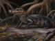 Rekonstruktion der neuen Gattung und Spezies Culebrasuchus mesoamericanus in seiner urzeitlichen Umgebung des frühen Miozäns in Panama. (Original artwork by Danielle Byerley (c) Florida Museum of Natural History)