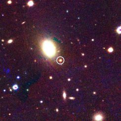 Die Supernova PS1-12sk (im Kreis) gehört zu den sehr seltenen Supernovae des Typs Ibn. (CfA / PS1 Science Consortium)