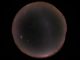 Der extrem schwer zu beobachtende Gegenschein, hier aufgenommen mit einem Fischaugen-Objektiv am Paranal-Observatorium der Europäischen Südsternwarte in Chile. (ESO / Stéphane Guisard (www.eso.org/~sguisard))