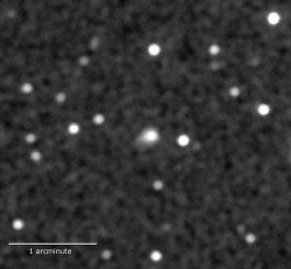 Der Komet ISON (Bildmitte), aufgenommen vom Ultraviolet / Optical Telescope an Bord des Swift-Satelliten. (NASA / Swift / D. Bodewits, UMCP)
