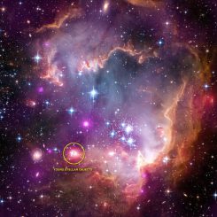 Junge stellare Objekte im Sternhaufen NGC 602a in der Kleinen Magellanschen Wolke. (X-ray: NASA / CXC / Univ. Potsdam / L. Oskinova et al; Optical: NASA / STScI; Infrared: NASA / JPL-Caltech)