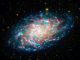 Der Dreiecksnebel M33. Die Aufnahme wurde aus Daten des Galaxy Evolution Explorer (GALEX) und des Weltraumteleskops Spitzer erstellt. (NASA / JPL-Caltech)