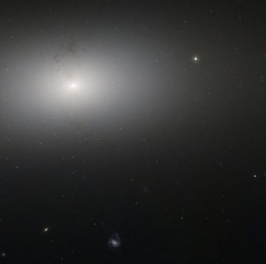 Staubstrukturen in der Seyfert-Galaxie NGC 2768, aufgenommen vom Weltraumteleskop Hubble. (ESA / Hubble & NASA; Acknowledgment: Judy Schmidt) Staubstrukturen in der Seyfert-Galaxie NGC 2768, aufgenommen vom Weltraumteleskop Hubble. (ESA / Hubble & NASA; Acknowledgment: Judy Schmidt)