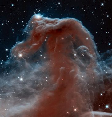Das Weltraumteleskop Hubble machte diese Infrarotaufnahme des berühmten Pferdekopfnebels anlässlich seines 23. Beobachtungsjahres. (NASA, ESA, and the Hubble Heritage Team (STScI / AURA)) Das Weltraumteleskop Hubble machte diese Infrarotaufnahme des berühmten Pferdekopfnebels anlässlich seines 23. Beobachtungsjahres. (NASA, ESA, and the Hubble Heritage Team (STScI / AURA))
