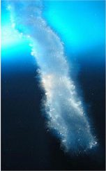 Leben auf der Erde ist möglicherweise nicht in warmen, tropischen Meeren entstanden, sondern hat seinen Ursprung in seltsamen Eisröhren, die als Eis-Stalaktiten bezeichnet werden. (Rob Robbins; image archived by EarthRef.org)