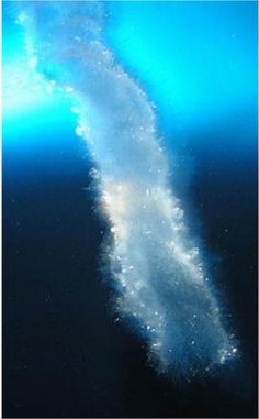 Leben auf der Erde ist möglicherweise nicht in warmen, tropischen Meeren entstanden, sondern hat seinen Ursprung in seltsamen Eisröhren, die als Eis-Stalaktiten bezeichnet werden. (Rob Robbins; image archived by EarthRef.org) Leben auf der Erde ist möglicherweise nicht in warmen, tropischen Meeren entstanden, sondern hat seinen Ursprung in seltsamen Eisröhren, die als Eis-Stalaktiten bezeichnet werden. (Rob Robbins; image archived by EarthRef.org)