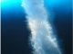 Leben auf der Erde ist möglicherweise nicht in warmen, tropischen Meeren entstanden, sondern hat seinen Ursprung in seltsamen Eisröhren, die als Eis-Stalaktiten bezeichnet werden. (Rob Robbins; image archived by EarthRef.org)