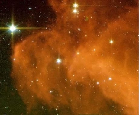 Diese Aufnahme des Weltraumteleskops Spitzer zeigt zwölf neugeborene Sterne in einem kleinen Ausschnitt des Hexenkopfnebels IC 2118. (NASA / JPL-Caltech / L. Rebull (SSC / Caltech))