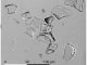 Ein Bild der Aschepartikel aus den Sedimentkernen des Lake Malawi. Die Asche besteht aus winzigen Glasscherben, die nur unter einem Mikroskop sichtbar sind. Sie entstanden durch die schnelle Erstarrung des Magmas (bzw. der Lava) im Flug, nachdem sie vom Toba-Supervulkan ausgestoßen wurde. (Dr. Christine Lane)