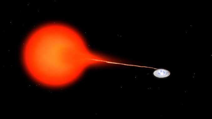 Künstlerische Darstellung des Doppelsternsystems SS Cygni. Der Weiße Zwerg (rechts) zieht Materie von dem normalen roten Zwergstern ab, die sich in einer Akkretionsscheibe sammelt. Ausbrüche finden statt, wenn die Scheibe instabil wird. (Bill Saxton, NRAO / AUI / NSF) Künstlerische Darstellung des Doppelsternsystems SS Cygni. Der Weiße Zwerg (rechts) zieht Materie von dem normalen roten Zwergstern ab, die sich in einer Akkretionsscheibe sammelt. Ausbrüche finden statt, wenn die Scheibe instabil wird. (Bill Saxton, NRAO / AUI / NSF)