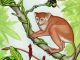 Künstlerische Darstellung des neu entdeckten Primaten Archicebus achilles. (Mat Severson, Northern Illinois University)