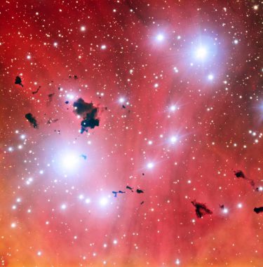 Die Sternentstehungsregion IC 2944 mit einigen dunklen Bok-Globulen, aufgenommen vom Very Large Telescope der Europäischen Südsternwarte in Chile. (ESO)