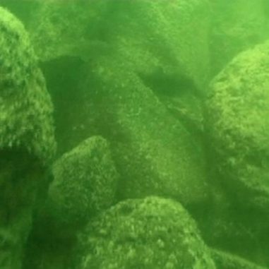 Die Struktur besteht aus vulkanischen Basaltsteinen, wie dieses Unterwasser-Bild verdeutlicht. (Shmulik Marco)