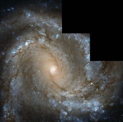 Die Spiralgalaxie Messier 61, aufgenommen vom Weltraumteleskop Hubble. (ESA / Hubble & NASA, Acknowledgements: G. Chapdelaine, L. Limatola, and R. Gendler)