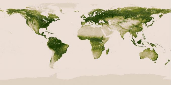 Globale Vegetationskarte, basierend auf den Daten von Suomi NPP. (NASA / NOAA)