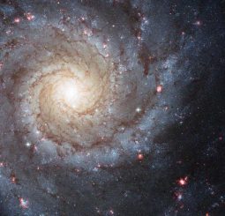 Hubble-Aufnahme der Spiralgalaxie Messier 74. Spiralgalaxien wie M74 könnten viel größer und massereicher sein als bislang vermutet. (NASA, ESA, and the Hubble Heritage (STScI / AURA) - ESA / Hubble Collaboration, Acknowledgment: R. Chandar (University of Toledo) and J. Miller (University of Michigan))