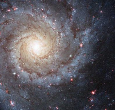 Hubble-Aufnahme der Spiralgalaxie Messier 74. Spiralgalaxien wie M74 könnten viel größer und massereicher sein als bislang vermutet. (NASA, ESA, and the Hubble Heritage (STScI / AURA) - ESA / Hubble Collaboration, Acknowledgment: R. Chandar (University of Toledo) and J. Miller (University of Michigan)) Hubble-Aufnahme der Spiralgalaxie Messier 74. Spiralgalaxien wie M74 könnten viel größer und massereicher sein als bislang vermutet. (NASA, ESA, and the Hubble Heritage (STScI / AURA) - ESA / Hubble Collaboration, Acknowledgment: R. Chandar (University of Toledo) and J. Miller (University of Michigan))