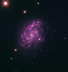 Die Balkenspiralgalaxie NGC 5584 und die Supernova SN 2007af, aufgenommen mit dem Very Large Telescope der Europäischen Südsternwarte in Chile. (ESO)