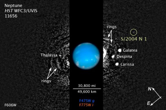 Der neu entdeckte Mond des Planeten Neptun ist als sehr schwacher, weißer Punkt zu erkennen (siehe Kreis). (NASA, ESA, and Z. Levay (STScI / AURA))