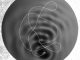 Wenn die Wellen auf ein kreisförmiges Gebiet begrenzt sind, reflektieren sie sich auf sich selbst zurück und erzeugen komplexe Muster (graue Kräuselungen), die den Tropfen auf eine scheinbar zufällige Bahn lenken (weiße Linie). Tatsächlich folgt die Bewegung des Tropfens aber statistischen Mustern, die von der Wellenlänge der Wellen bestimmt werden. (Dan Harris)