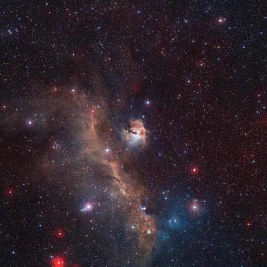 Die Sternentstehungsregion IC 2177, genannt Möwennebel. (ESO / Digitized Sky Survey 2. Acknowledgement: Davide De Martin)