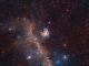 Die Sternentstehungsregion IC 2177, genannt Möwennebel. (ESO / Digitized Sky Survey 2. Acknowledgement: Davide De Martin)