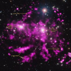 Kompositbild des Coma-Clusters. Chandra-Daten sind pink dargestellt und optische Daten des Sloan Digital Sky Survey erscheinen in weißen und bläulichen Farbtönen. Die beiden elliptischen Riesengalaxien und die neu entdeckten Röntgenarme sind gekennzeichnet. (X-ray: NASA / CXC / MPE / J.Sanders et al, Optical: SDSS)