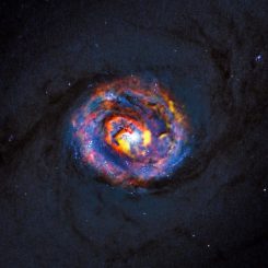 Der Kernbereich der aktiven Galaxie NGC 1433. Beobachtungen mit dem Atacama Large Millimeter / submillimeter Array (ALMA) offenbaren in Gelb- und Orangetönen eine spiralförmige Struktur. Sie kennzeichnen Gasmassen, die um das zentrale supermassive Schwarze Loch der Galaxie wirbelt. (ALMA (ESO / NAOJ / NRAO) / NASA / ESA / F. Combes)