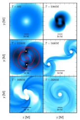 Die verschiedenen Stadien beim Kollaps eines fragmentierten supermassiven Sterns. Jede Grafik zeigt die Dichteverteilung in der Äquatorebene. Der Stern rotiert so schnell, dass die Konfiguration am Beginn des Kollaps (oben links) quasi-toroid ist: Die maximale Dichte ist unzentriert und erzeugt einen Ring aus maximaler Dichte. Die Simulation endet, nachdem das endgültige Schwarze Loch entstanden ist (unten rechts). (Christian Reisswig / Caltech)
