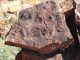 Eine Gesteinsoberfläche mit polygonen Schwingungsbrüchen in der 3,48 Milliarden Jahre alten Dresser Formation im Pilbara-Destrict in Western Australia. Solche und ähnliche Sedimentstrukturen sind biologischen Ursprungs. Die mikrobiell induzierten Sedimentstrukturen sind ein neuer Ansatz, um das erste Leben auf der Erde nachzuweisen und zu verstehen. (Photo courtesy of Nora Noffke)