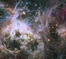 Hubble-Aufnahme des Tarantelnebels in infraroten Wellenlängen. Die Region besteht aus Sternhaufen, leuchtendem Gas und dunklen Staubwolken. (NASA, ESA, E. Sabbi (STScI))