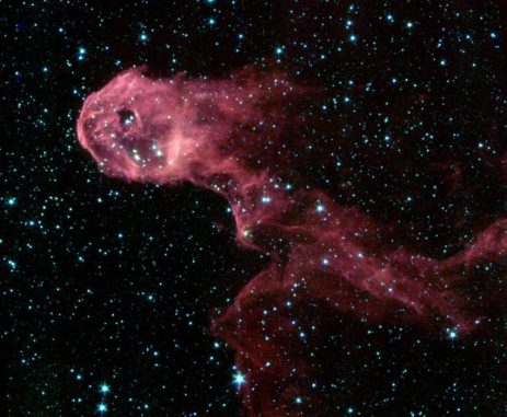 Spitzer-Aufnahme des Elefantenrüsselnebels in infraroten Wellenlängen. (NASA / JPL / Caltech)