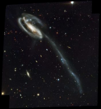 Die Kaulquappengalaxie Arp 188, aufgenommen vom Weltraumteleskop Hubble. Der 280.000 Lichtjahre lange Gezeitenschweif ist deutlich erkennbar. (NASA)