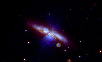 Die Supernova SN 2014J, aufgenommen vom Ultraviolet/ Optical Telescope an Bord des Swift-Satelliten. Die Explosion fand in der Galaxie M82 statt und ist mit einem Kreis markiert. (NASA / Swift / P. Brown, TAMU)