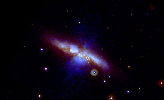 Die Supernova SN 2014J, aufgenommen vom Ultraviolet/ Optical Telescope an Bord des Swift-Satelliten. Die Explosion fand in der Galaxie M82 statt und ist mit einem Kreis markiert. (NASA / Swift / P. Brown, TAMU)