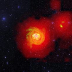 Dieses Bild zeigt die helle, sternreiche Zentralregion von NGC 6946 in sichtbarem Licht (blau), dichte Wasserstoffstrukturen in den Armen und dem Halo (orange) und das extrem diffuse Wasserstoffgebiet, das NGC 6946 und ihre Begleiter umgibt (rot). (D.J. Pisano (WVU); B. Saxton (NRAO / AUI / NSF); Palomar Observatory - Space Telescope Science Institute 2nd Digital Sky Survey (Caltech); Westerbork Synthesis Radio Telescope)