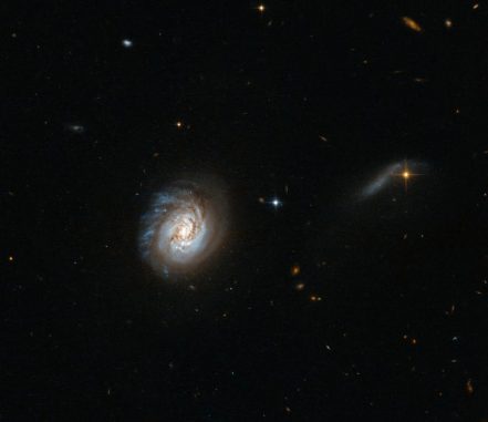 Hubble-Aufnahme der leuchtkräftigen Infrarotgalaxie MCG-03-04-014. (ESA / Hubble & NASA; Acknowledgement: Judy Schmidt) Hubble-Aufnahme der leuchtkräftigen Infrarotgalaxie MCG-03-04-014. (ESA / Hubble & NASA; Acknowledgement: Judy Schmidt)