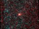 Der neu entdeckte Komet C/2014 C3 (NEOWISE), aufgenommen vom Near-Earth Object Wide-field Infrared Survey Explorer der NASA am 14. Februar 2014. (NASA / JPL-Caltech)