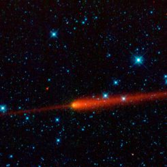 Der kurzperiodische Komet 65P/Gunn, aufgenommen vom Wide-field Infrared Survey Explorer (WISE) in infraroten Wellenlängen. (NASA / JPL-Caltech / UCLA)
